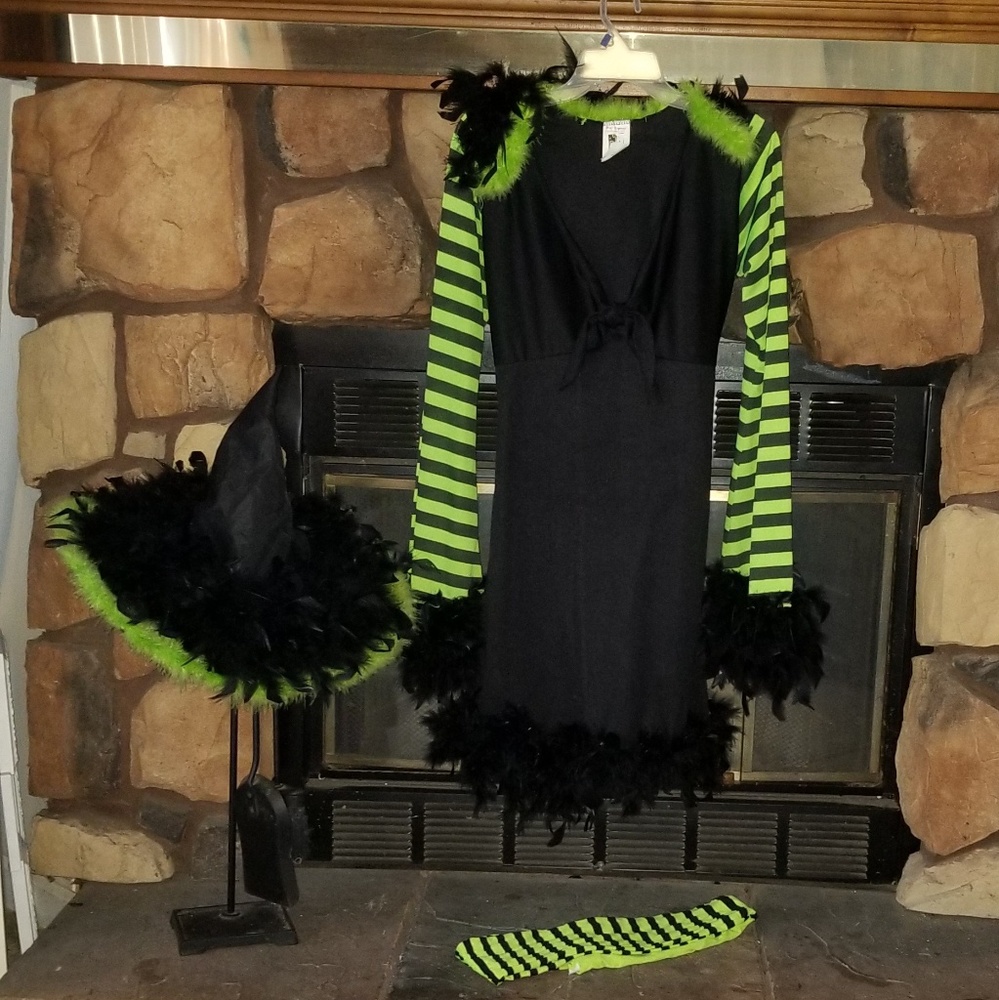 EUC Fantastic Witch costume.
